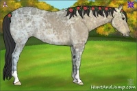 Horse Color:Buckskin Ice 