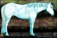 Horse Color:Thunderstruck Red Dun Ice Tobiano Appaloosa 