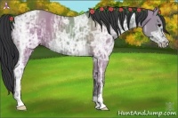 Horse Color:Grullo Ice 