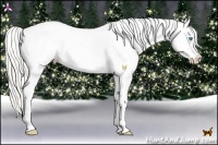 Horse Color:White Spotted Silver Amber Champagne Pearl Dun Blanket Rabicano