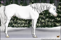 Horse Color:Silver Classic Champagne Pearl Dun Sabino Splash Snowcap