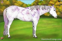 Horse Color:Nacre Watercolor Chestnut Sabino