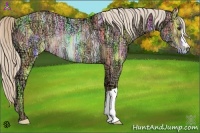 Horse Color:Palomino Ice Rabicano 