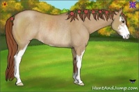 Horse Color:Red Dun Sabino Rabicano