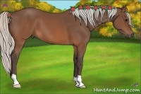 Horse Color:Silver Brown 