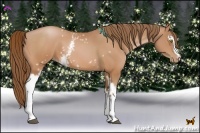 Horse Color:White Spotted Bay Pearl 