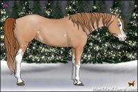 Horse Color:White Spotted Bay Pearl Splash 