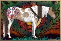 Horse Color:Classic Champagne Tobiano Rabicano