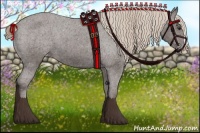 Horse Color:Liver Chestnut Splash Appaloosa 