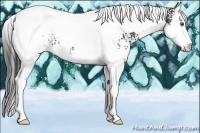 Horse Color:White Spotted Black Splash Tobiano