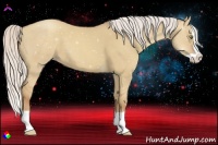 Horse Color:Silver Classic Champagne Dun Splash