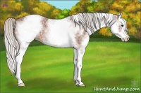 Horse Color:White Spotted Silver Bay Ice Splash