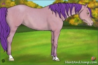 Horse Color:Watercolor Amber Champagne 