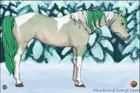Horse Color:Watercolor Bay Dun Tobiano 