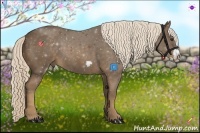 Horse Color:Chocolate Palomino Frame 