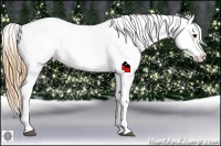 Horse Color:Buckskin Roan Snowcap