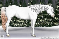 Horse Color:Bay Snowcap