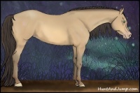 Horse Color:Amber Cream Champagne 