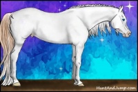 Horse Color:Amber Champagne Splash Varnish 