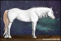 Horse Color:Classic Cream Champagne Fewspot 