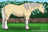 Horse Color:Silver Buckskin Dun Tobiano 