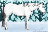 Horse Color:White Spotted Bay Roan Tobiano 