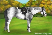 Horse Color:White Spotted Black