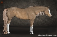 Horse Color:White Spotted Chocolate Palomino
