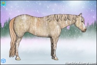 Horse Color:Red Dun Ice 