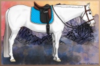 Horse Color:White Spotted Brown Splash Frame Appaloosa Rabicano