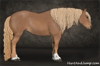 Horse Color:Chestnut Sabino Rabicano