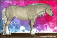 Horse Color:Chocolate Palomino Rabicano