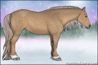 Horse Color:Chocolate Palomino 