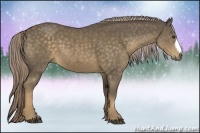 Horse Color:Chocolate Palomino 