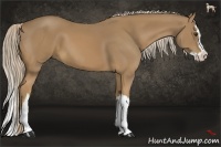 Horse Color:Palomino Splash 