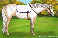 Horse Color:White Spotted Silver Bay Pearl Frame 