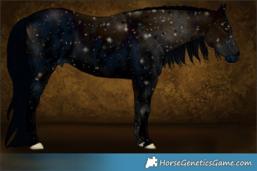 Horse Color:ERROR: UNKNOWN ANOMALY Brindle