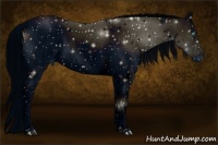 Horse Color:ERROR: UNKNOWN ANOMALY Brindle