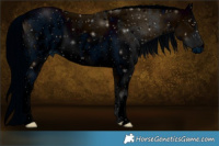 Horse Color:ERROR: UNKNOWN ANOMALY Brindle