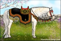 Horse Color:Palomino Dun Appaloosa