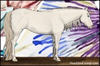 Horse Color:Smoky Creme Roan Dun 