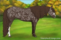 Horse Color:Liver Chestnut Ice 