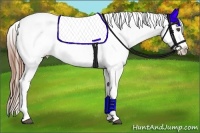 Horse Color:Black Frame Appaloosa
