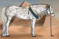 Horse Color:Silver Grullo Ice Splash