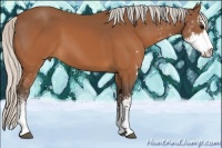 Horse Color:Silver Brown Sabino 