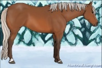 Horse Color:Silver Bay Sabino