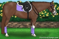 Horse Color:Chestnut Sabino