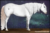 Horse Color:White Spotted Buckskin Pearl Snowflake Varnish