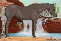 Horse Color:Silver Black