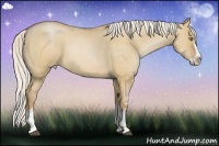Horse Color:White Spotted Silver Brown Roan Pearl Dun Splash 